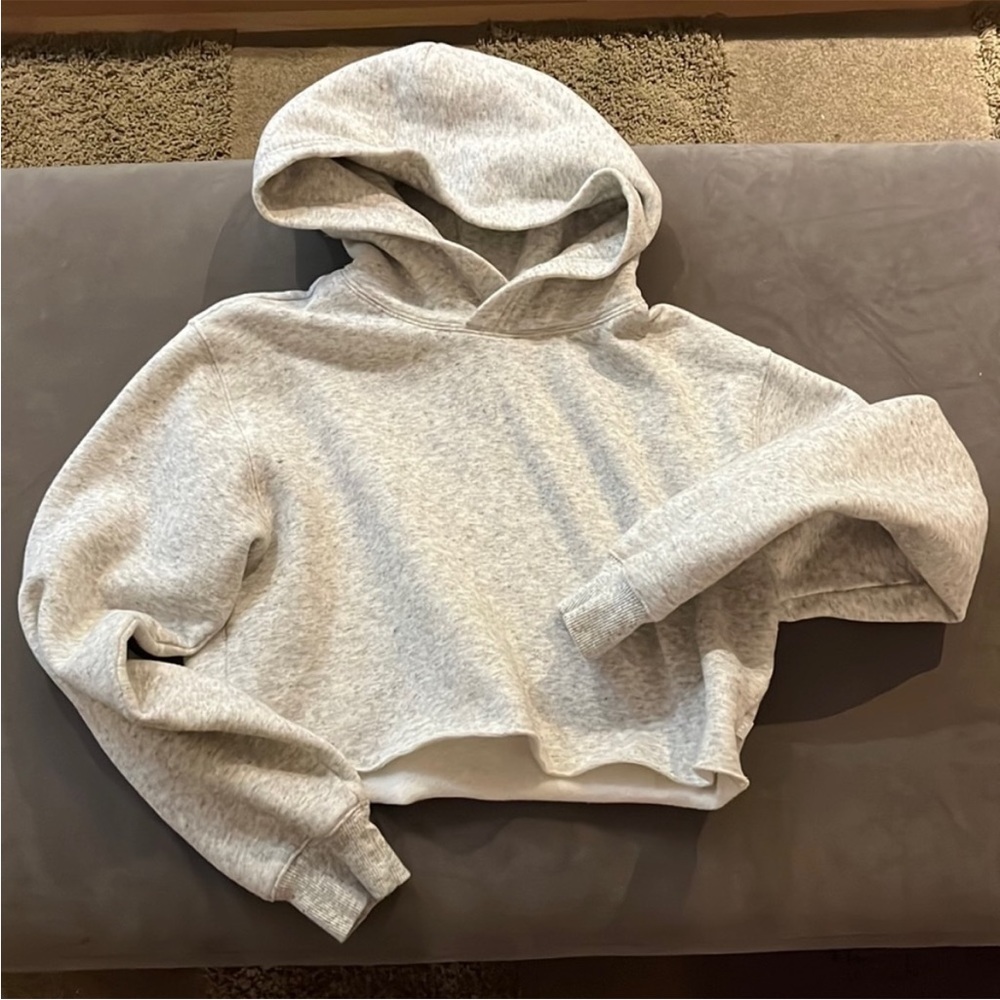 TNA light gray cropped hoodie 🩶🤍 XS ~ EUC ~ purchased at Aritza
